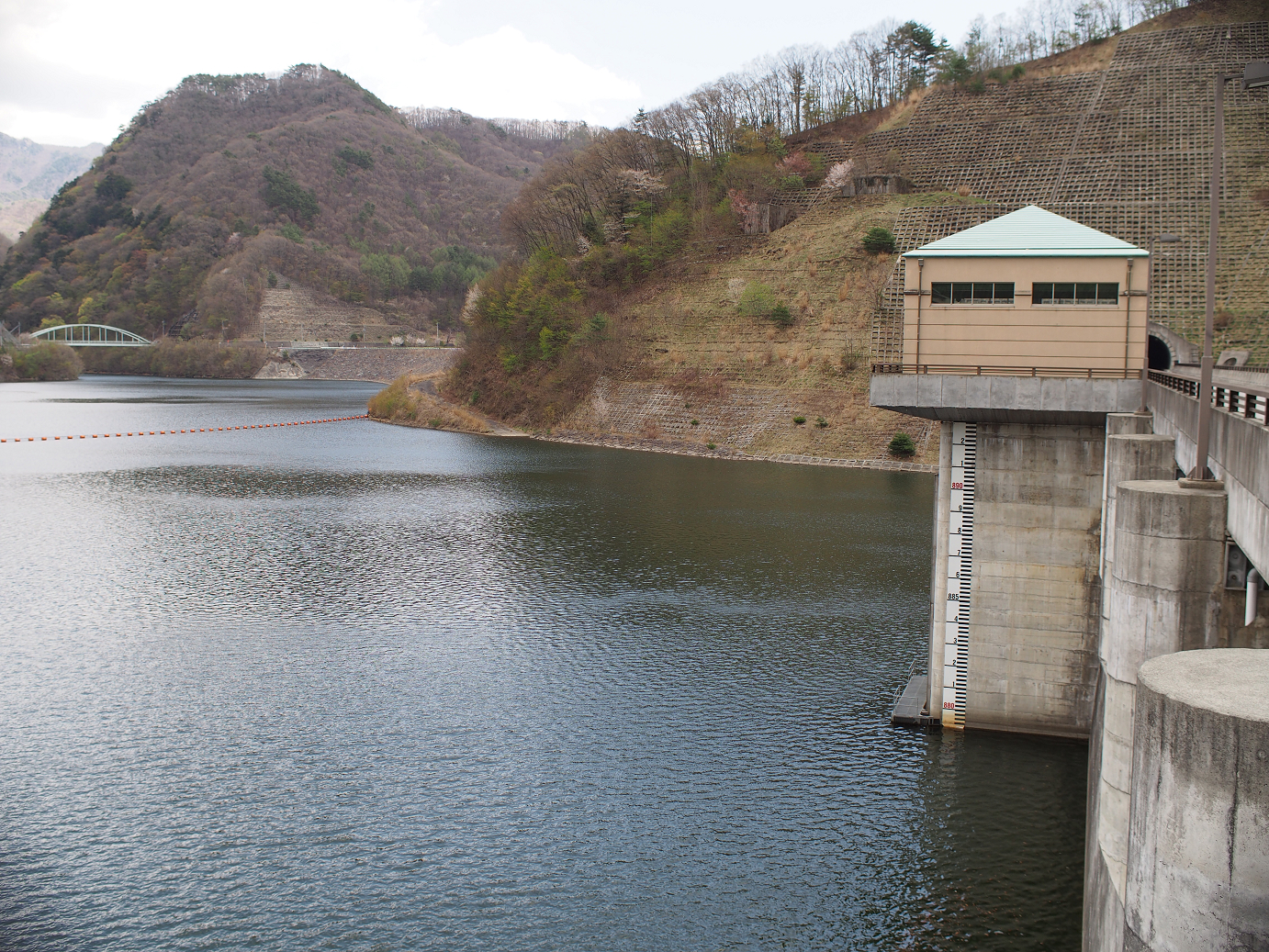 P4278190.jpg