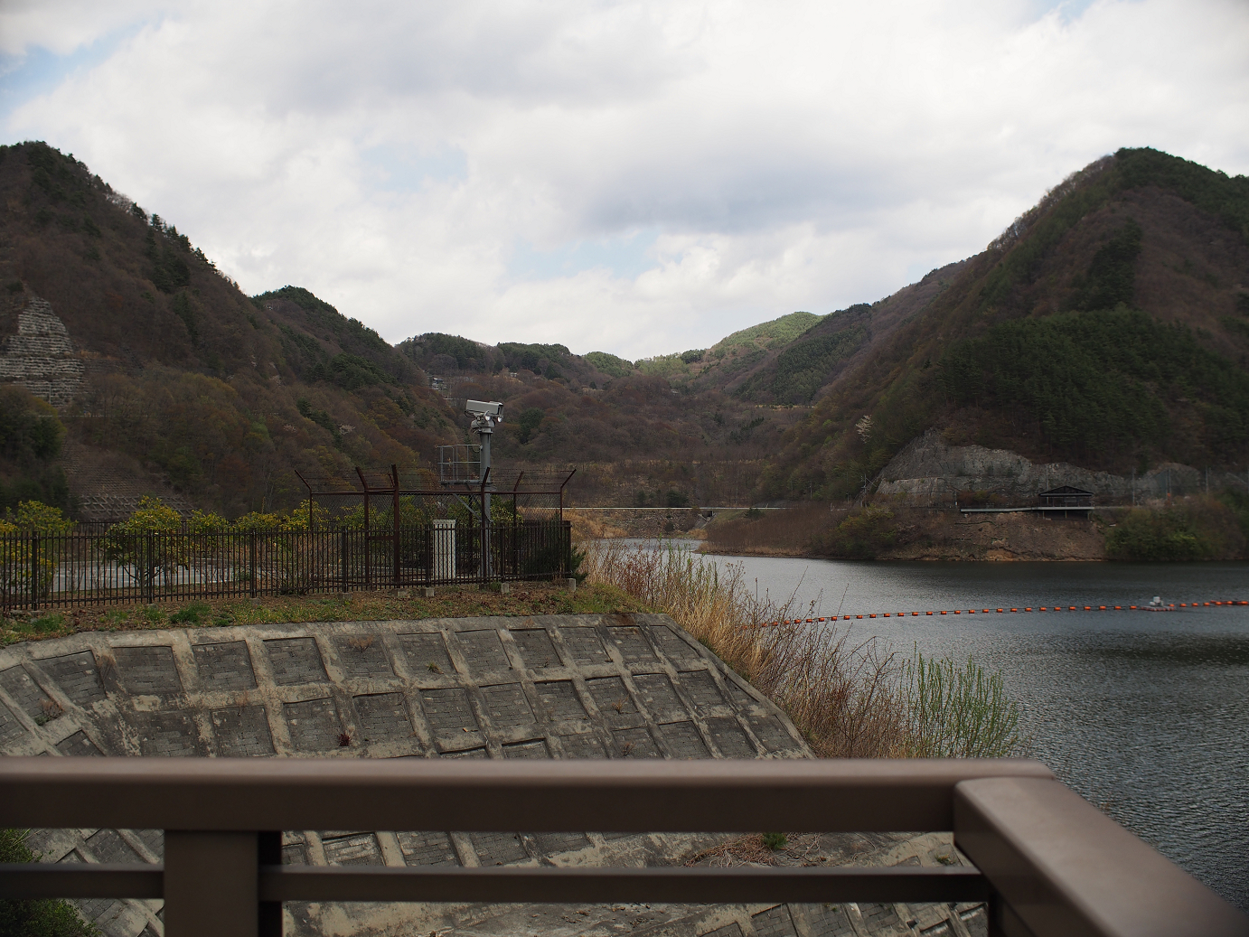 P4278192.jpg