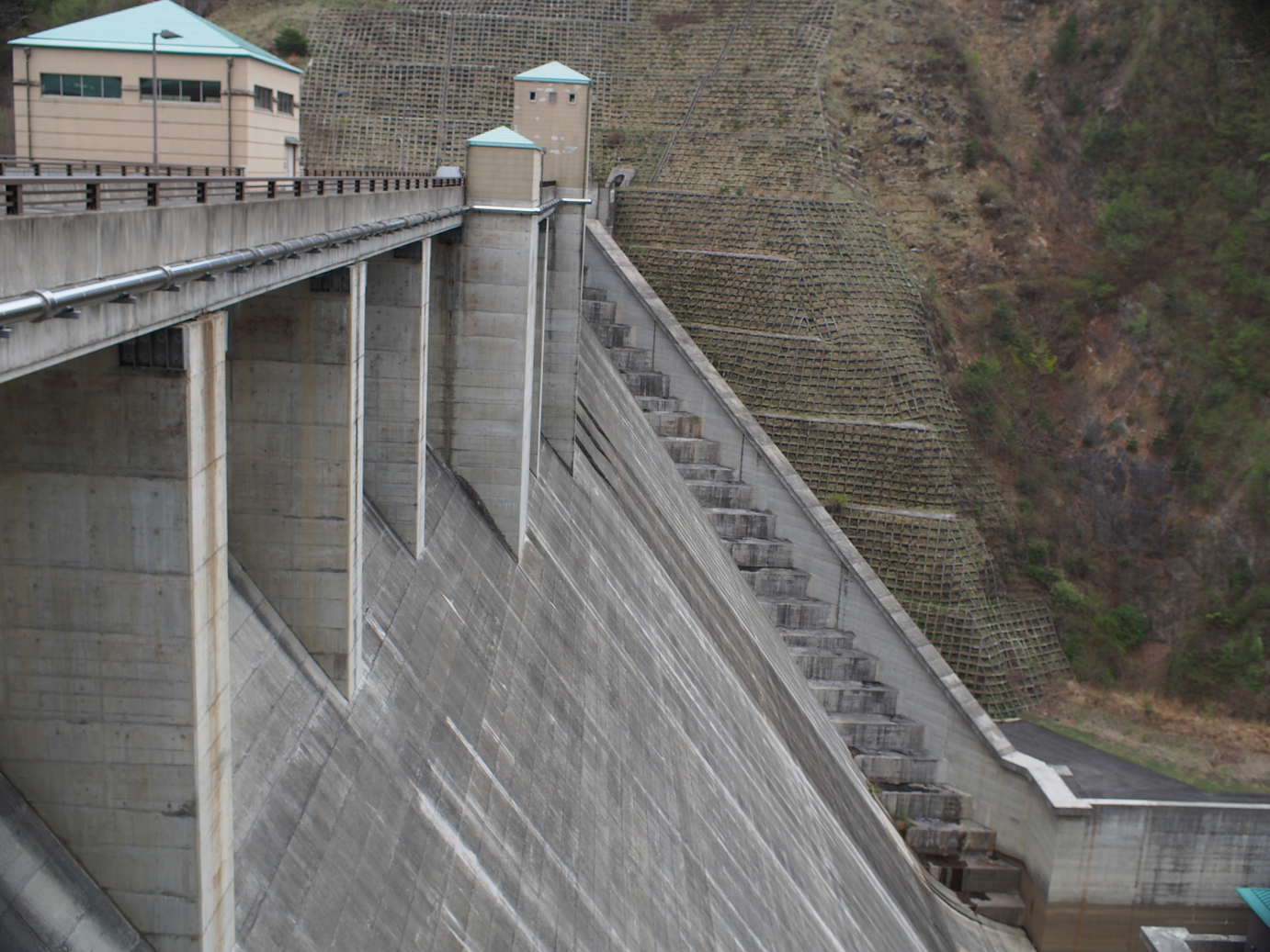P4278195.jpg