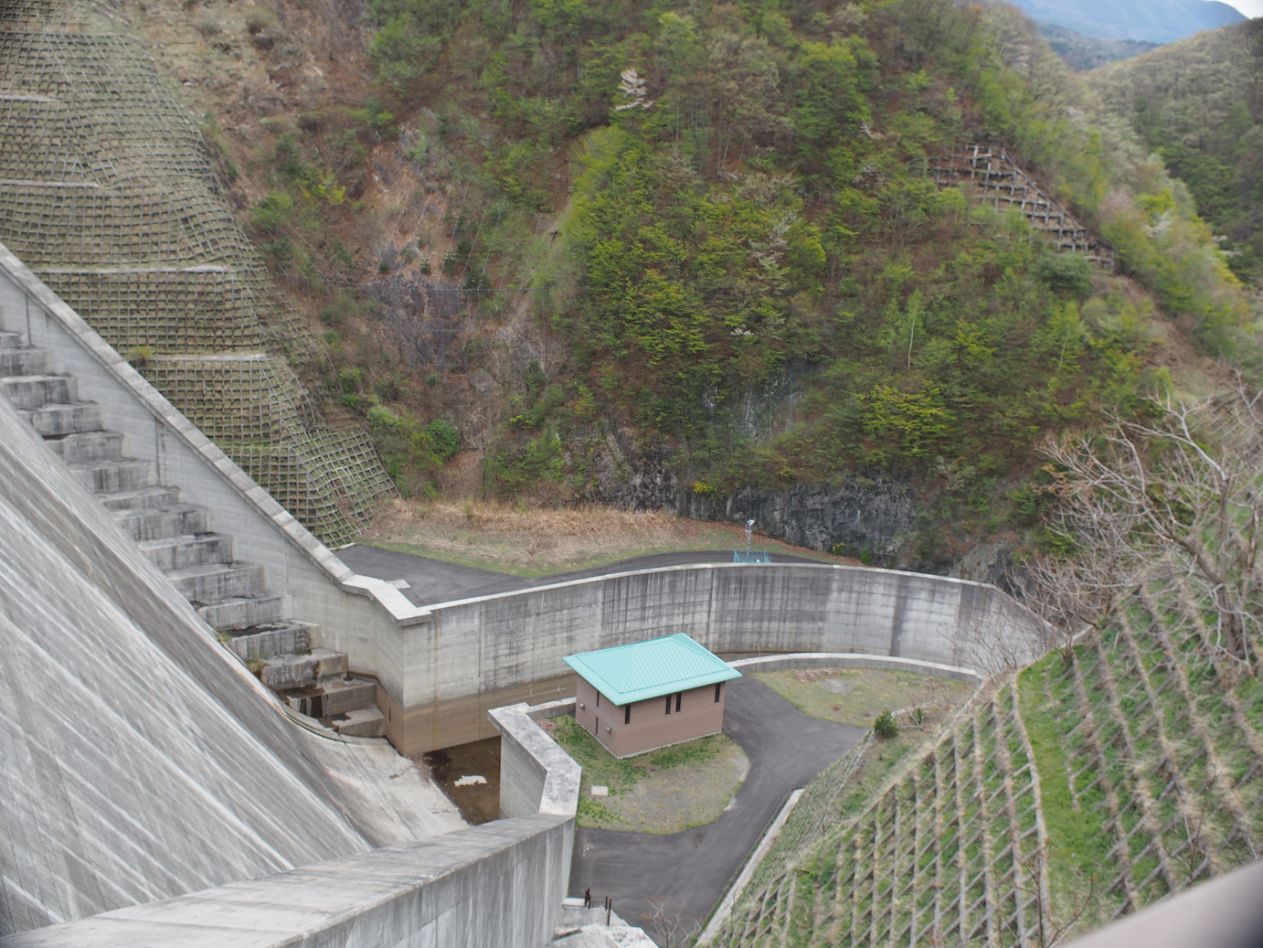 P4278196.jpg
