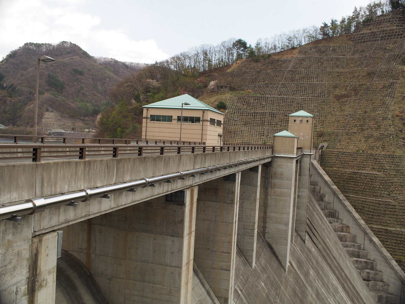 P4278197.jpg