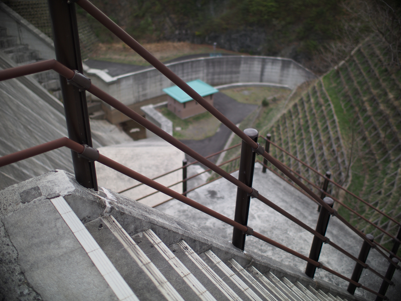 P4278199.jpg