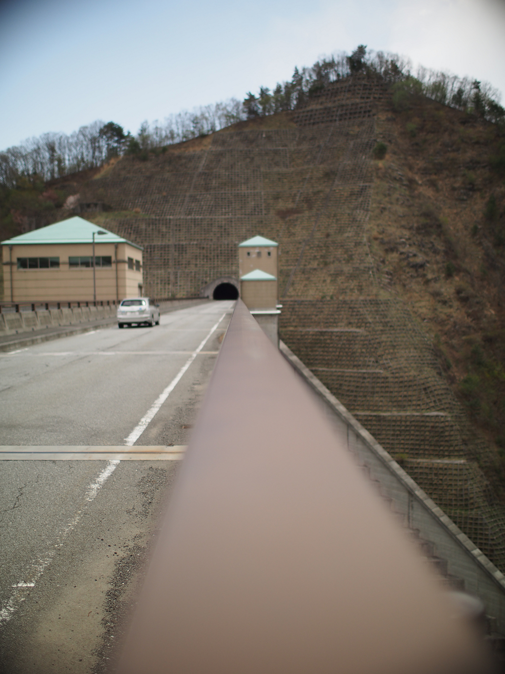 P4278202.jpg
