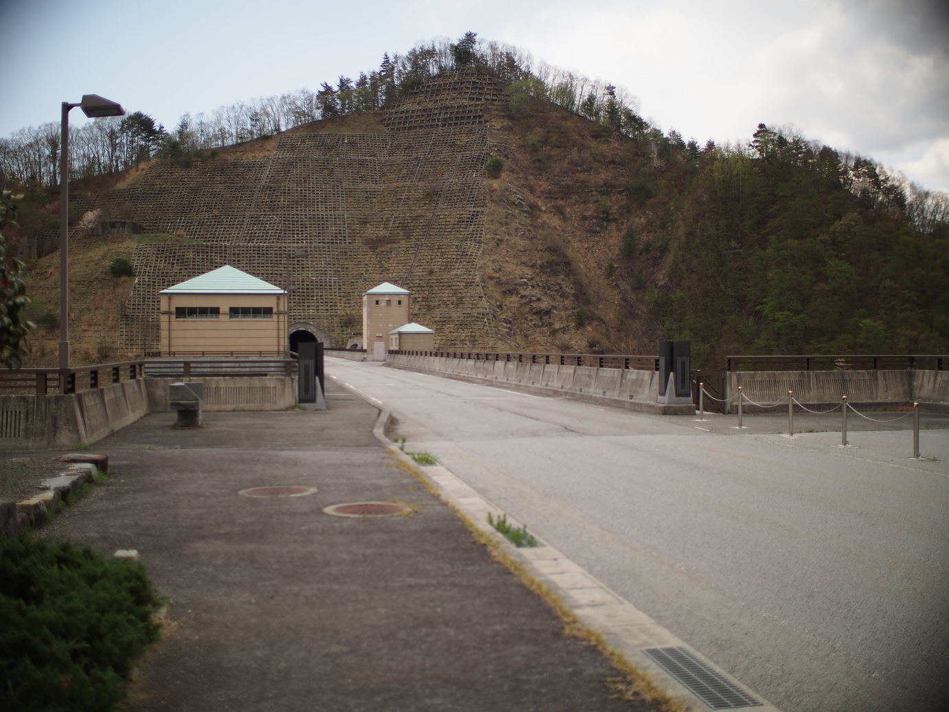 P4278207.jpg