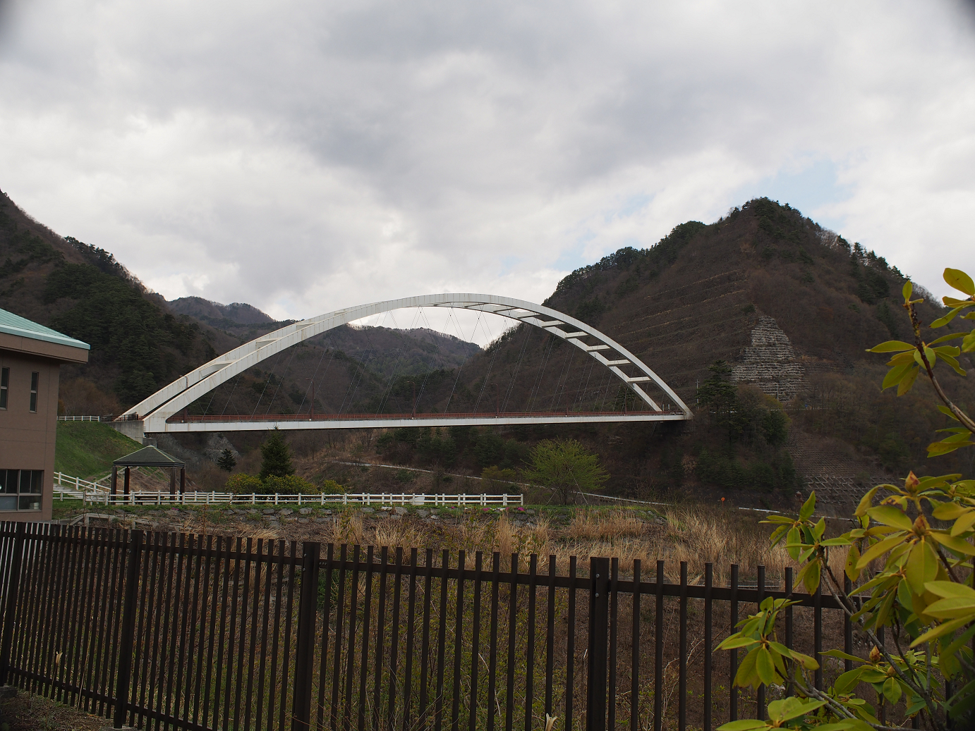 P4278210.jpg