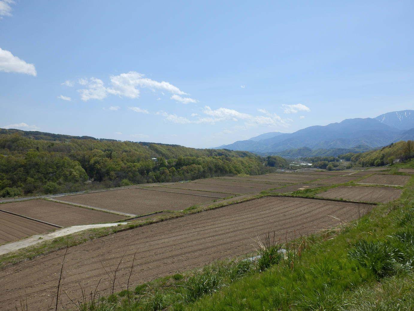 P4278221.jpg
