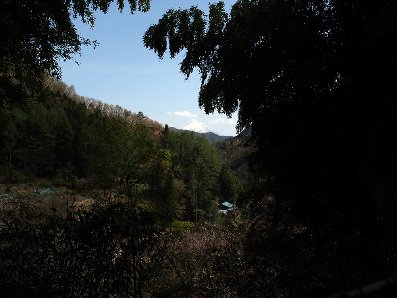 P4278229.jpg