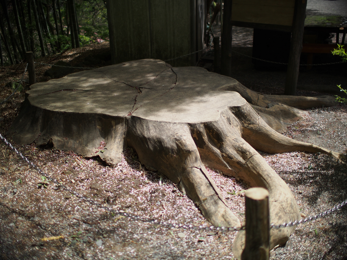 P4278230.jpg