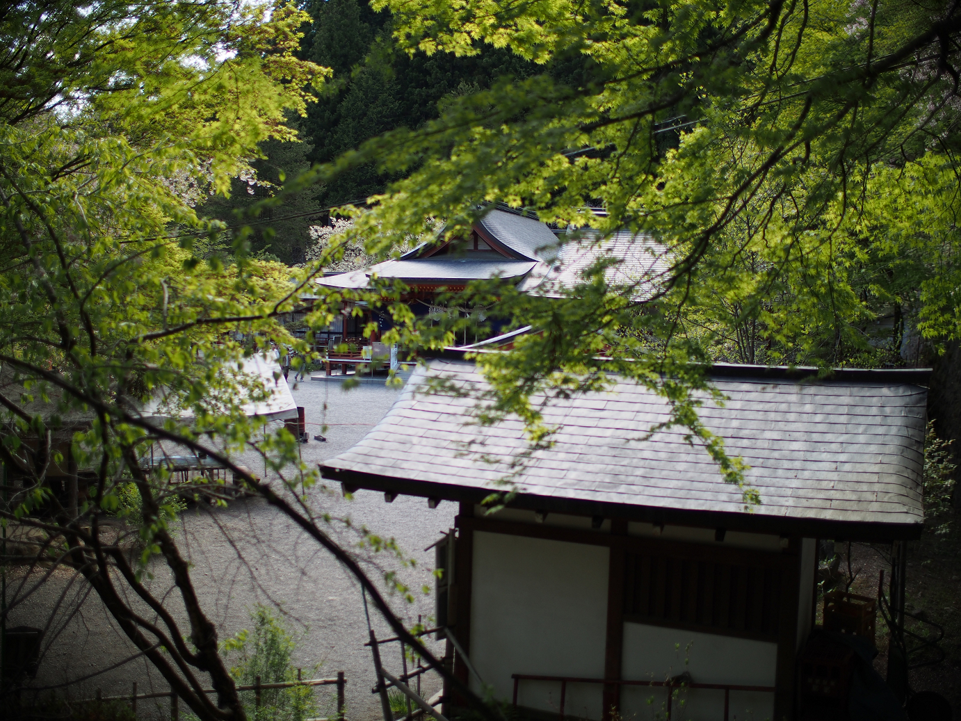 P4278231.jpg