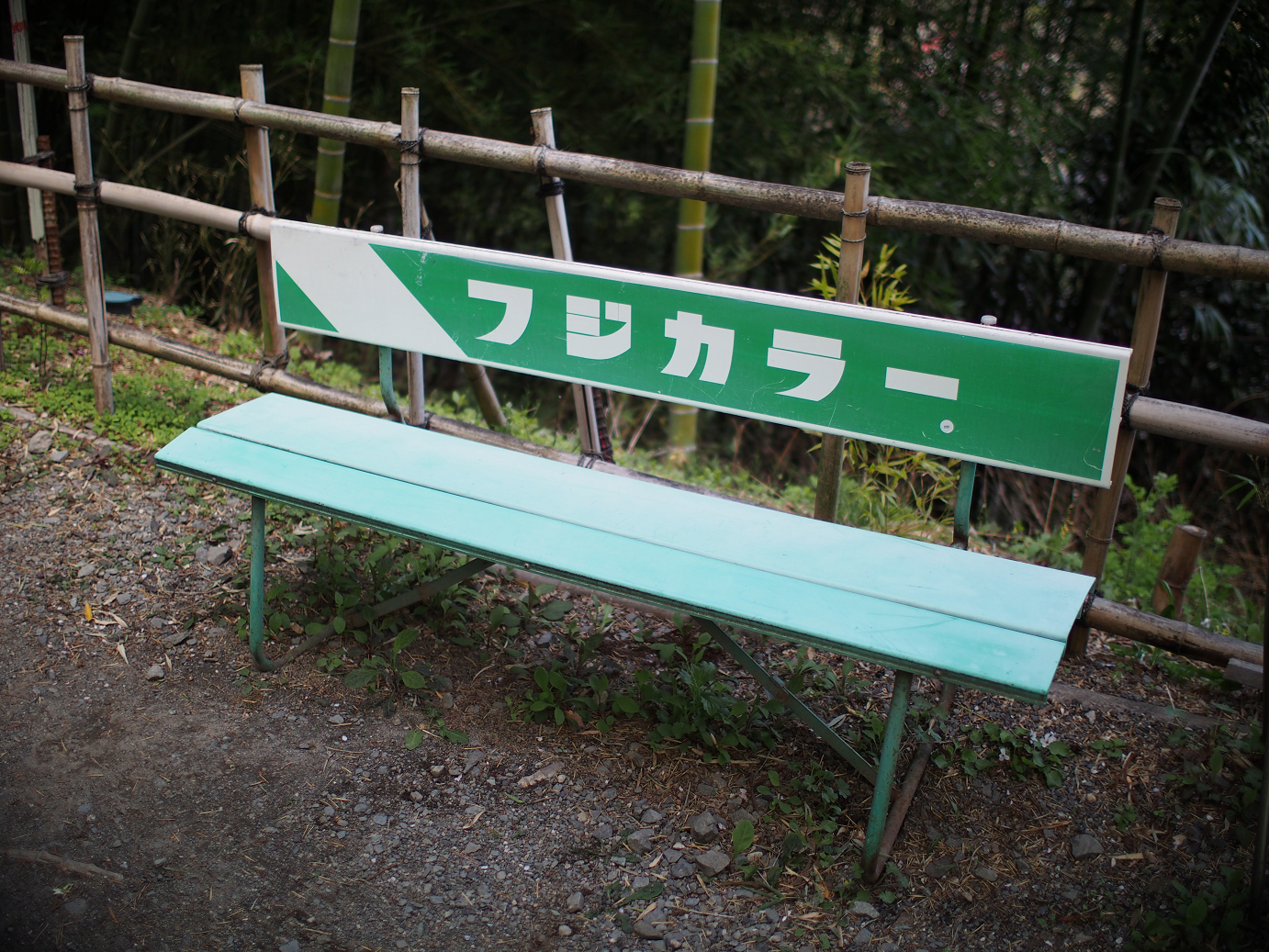 P4278235.jpg