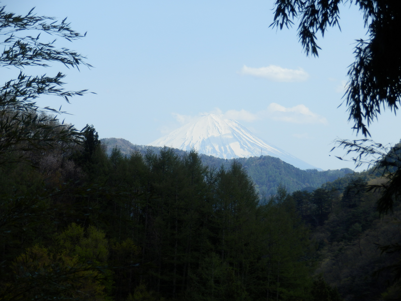 P4278236.jpg