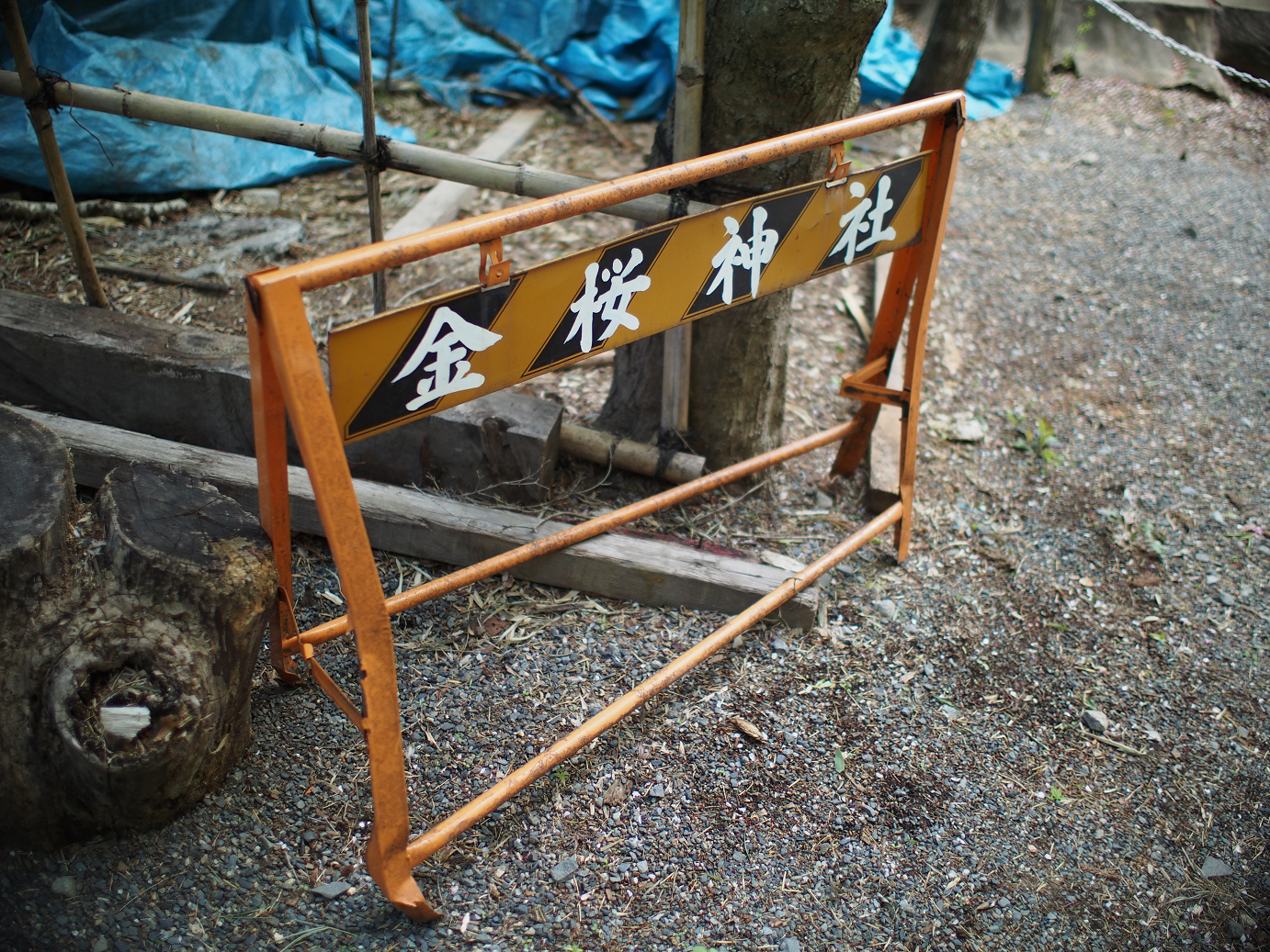 P4278237.jpg