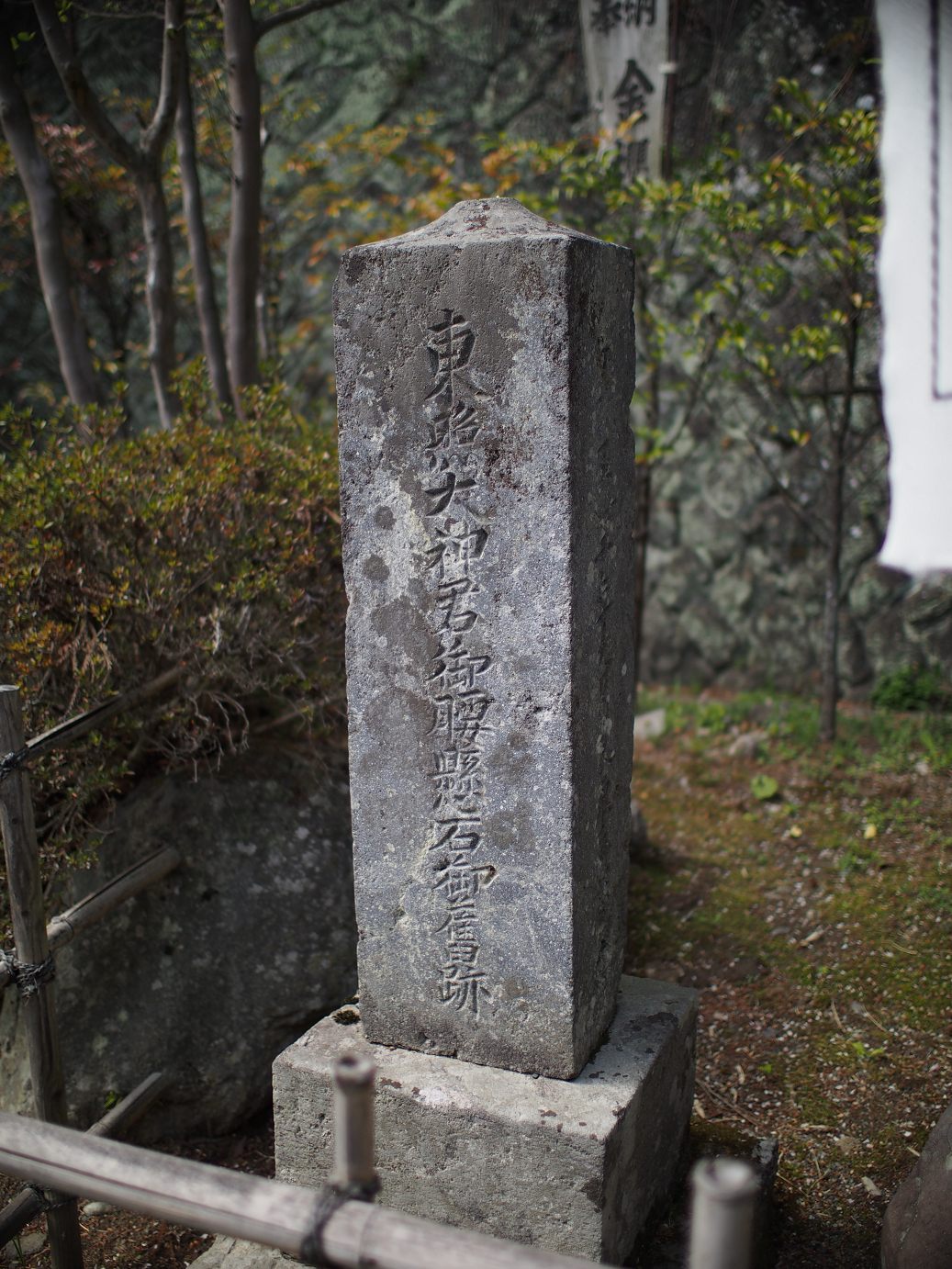 P4278239.jpg