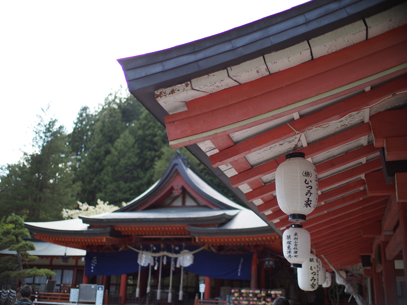 P4278240.jpg