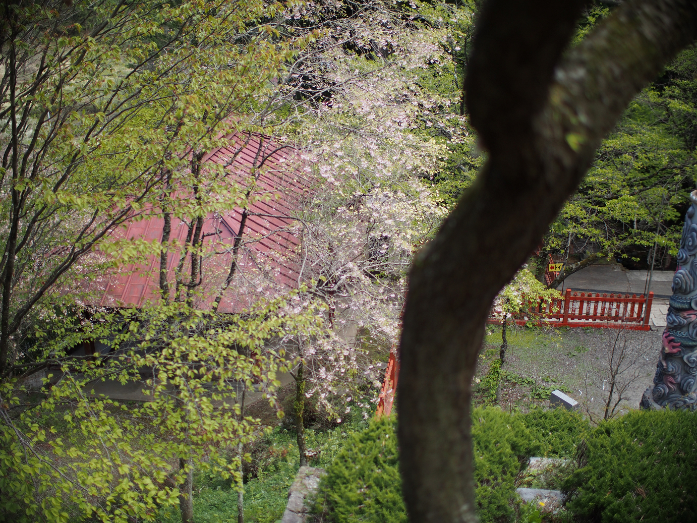 P4278245.jpg