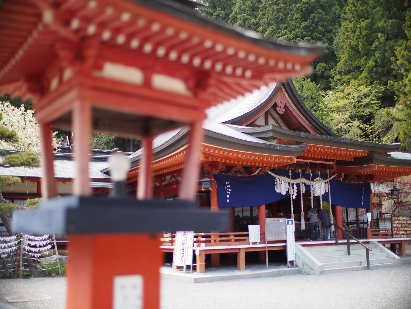 P4278247.jpg