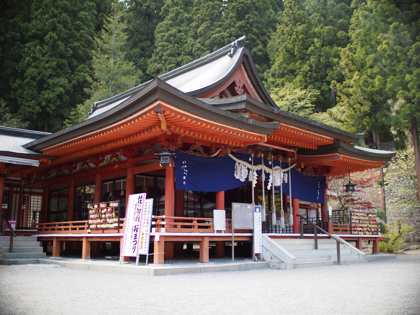 P4278248.jpg