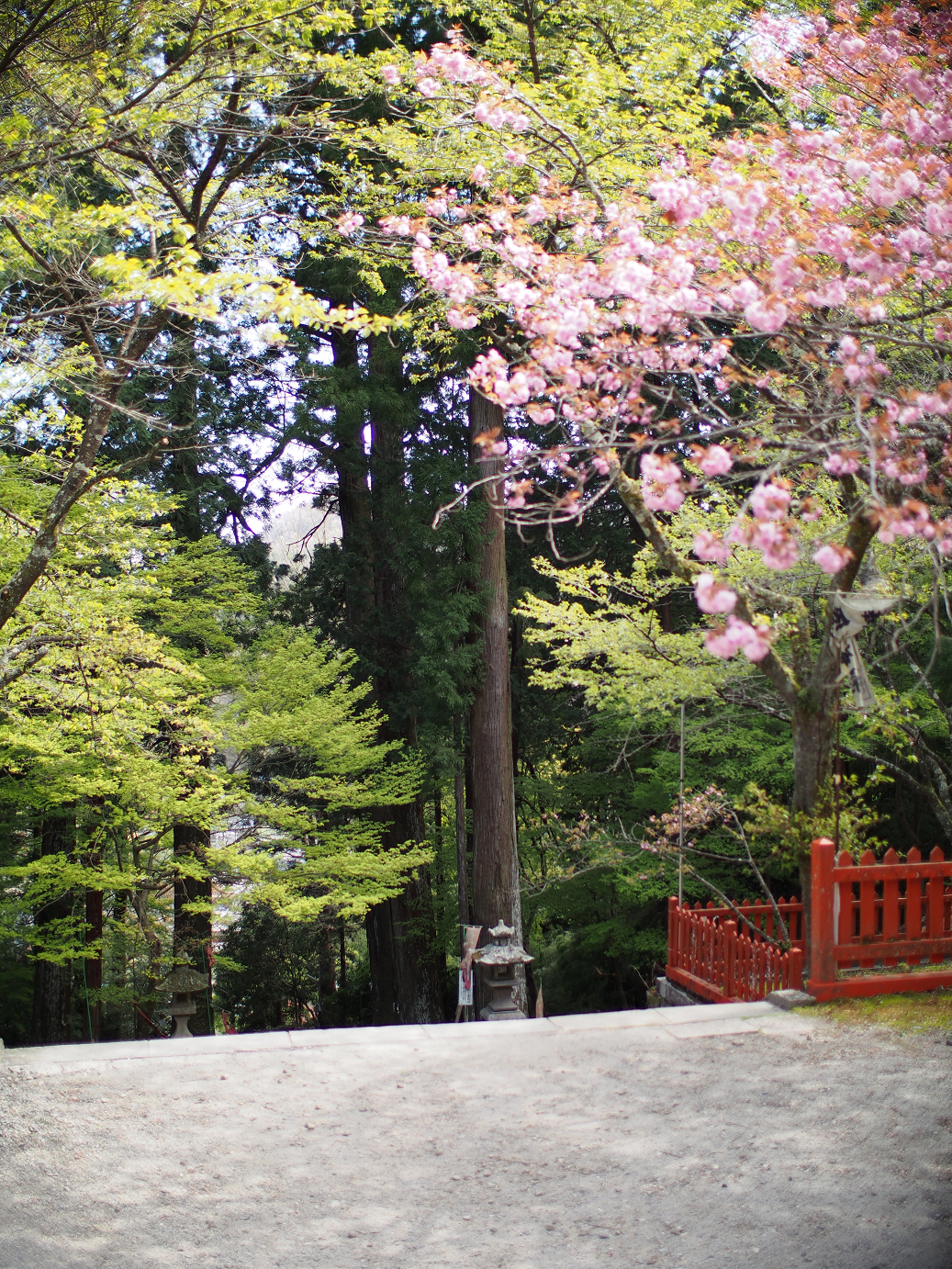 P4278249.jpg