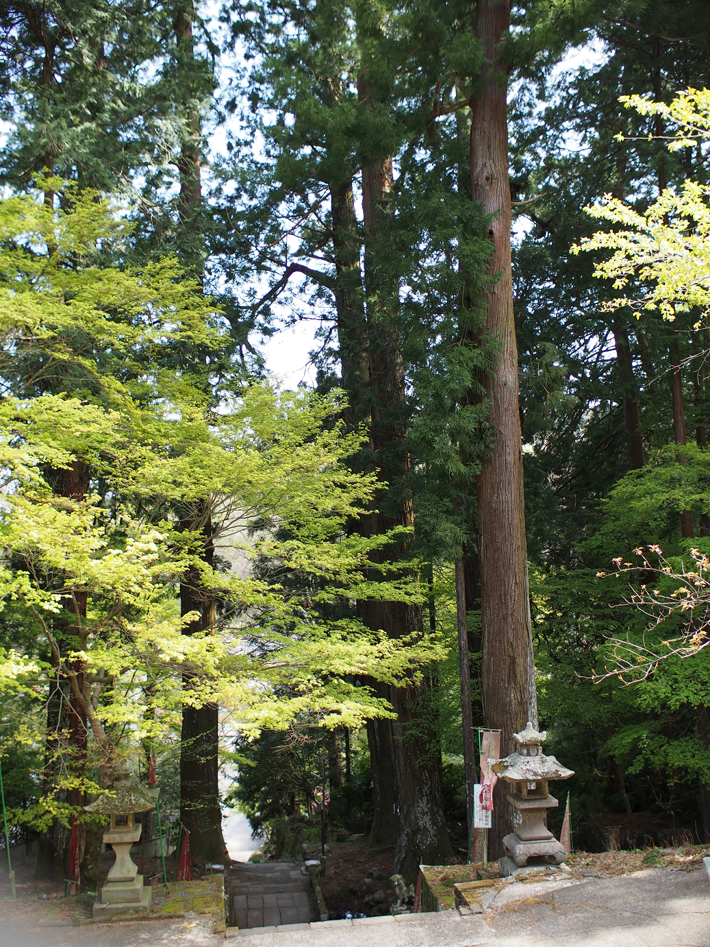 P4278252.jpg