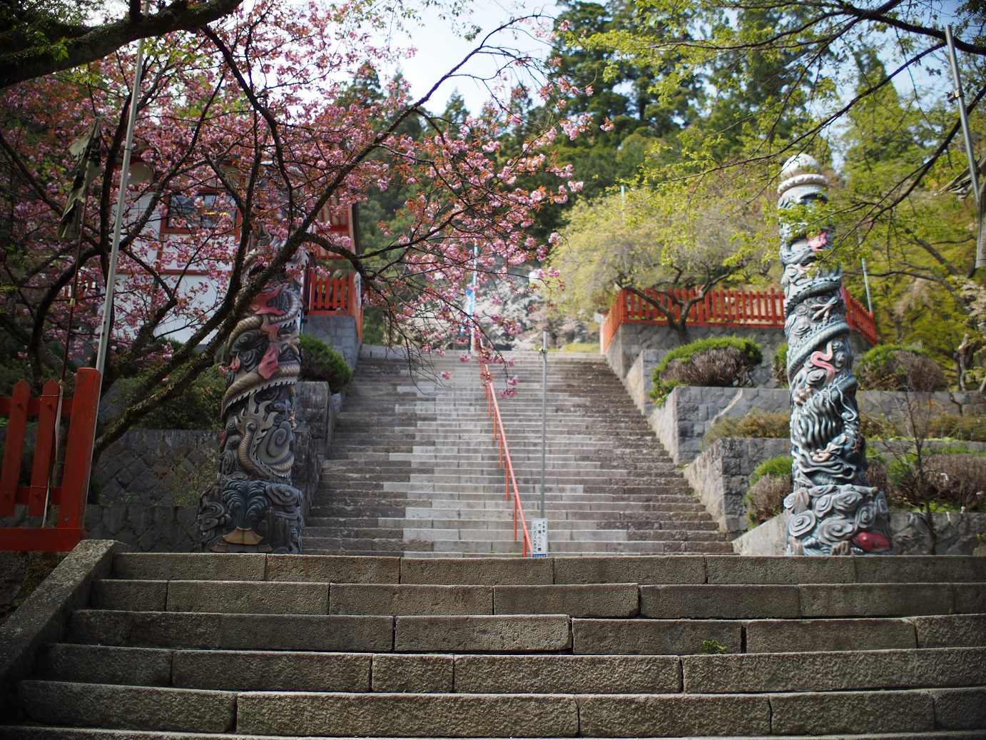 P4278255.jpg