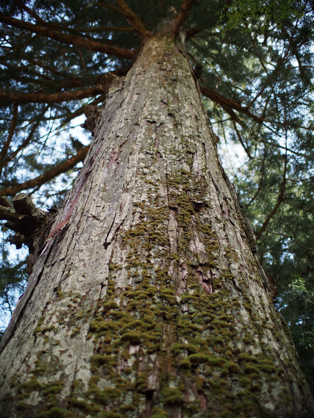 P4278257.jpg