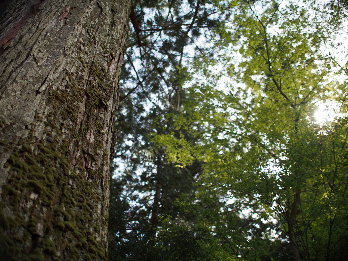 P4278258.jpg