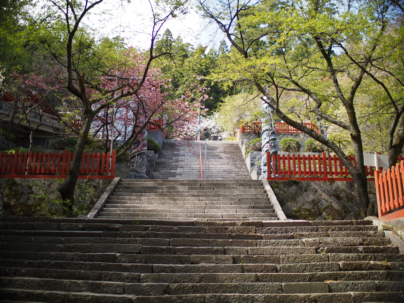 P4278264.jpg