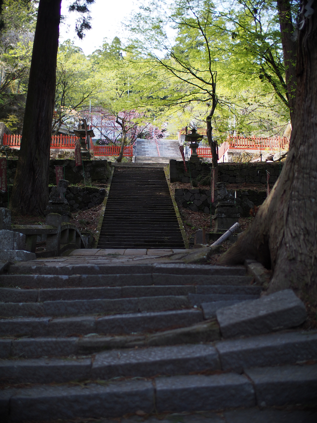 P4278268.jpg