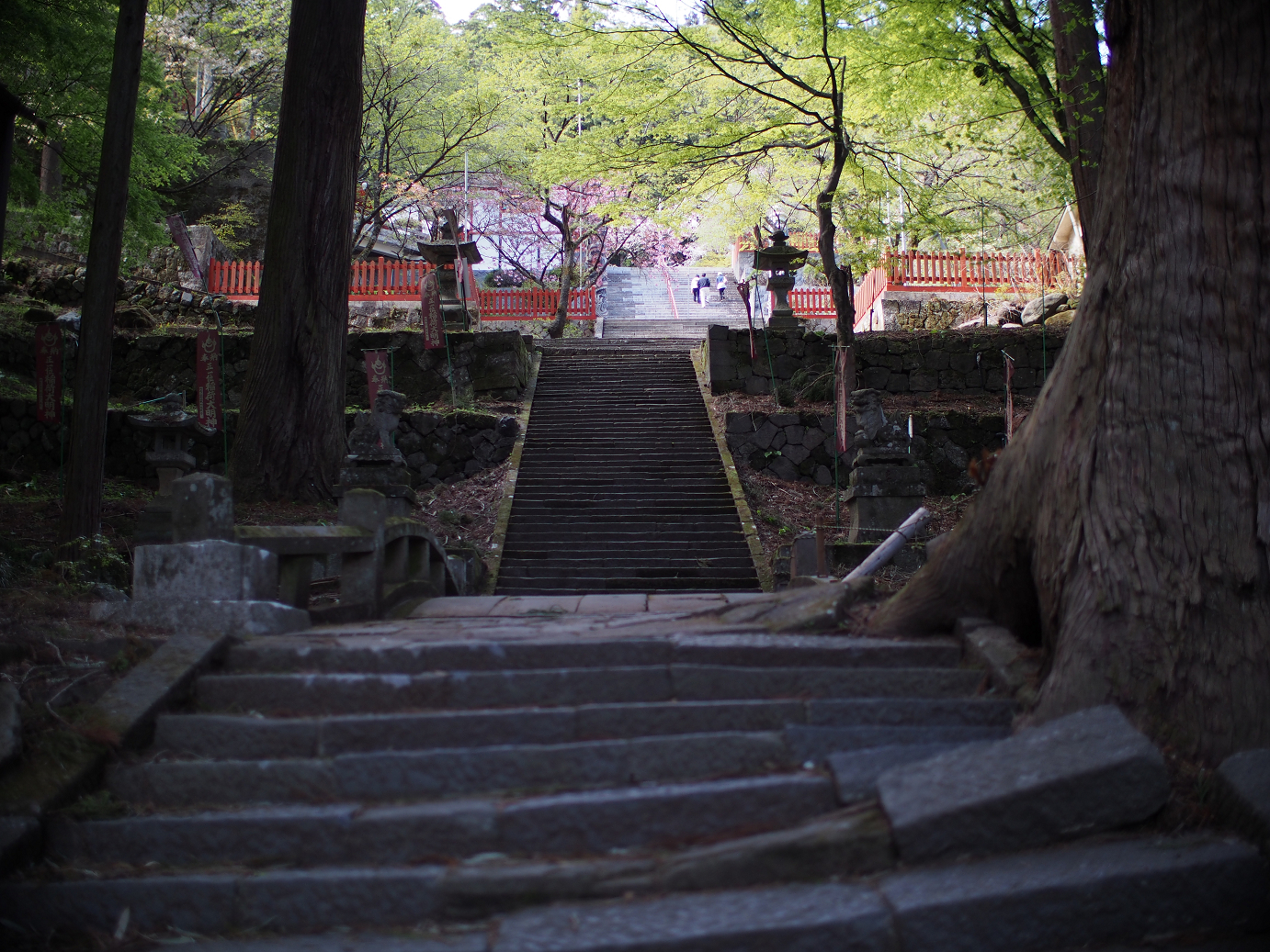 P4278269.jpg