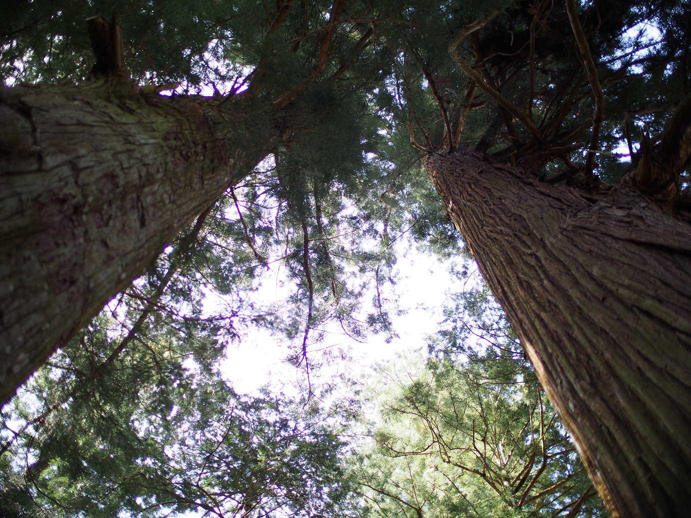 P4278270.jpg