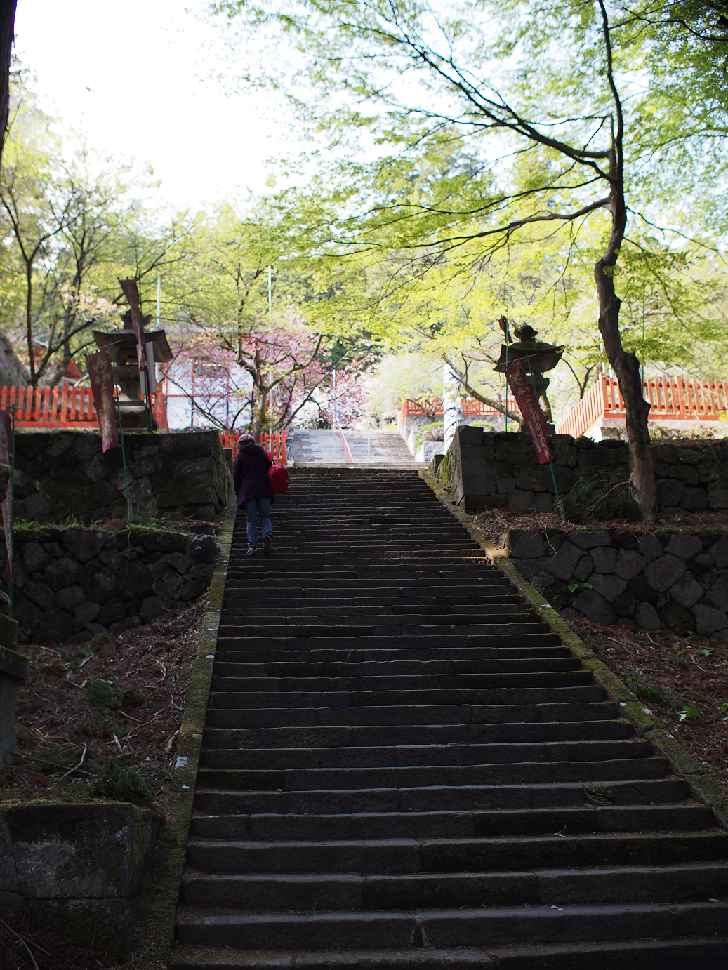 P4278272.jpg