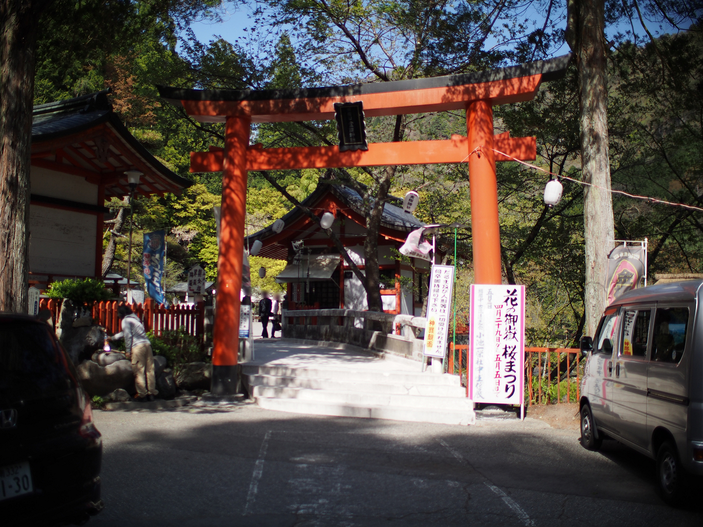 P4278274.jpg