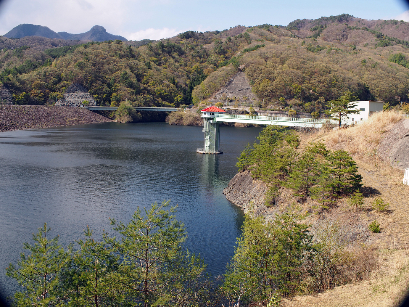 P4278276.jpg