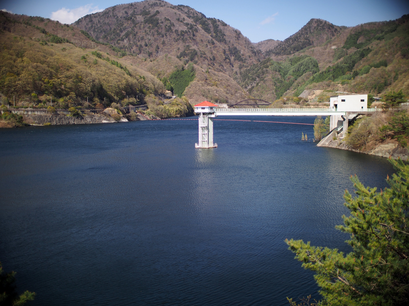 P4278278.jpg