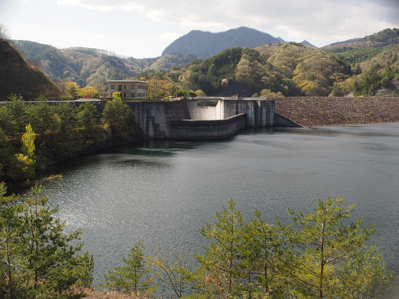 P4278281.jpg