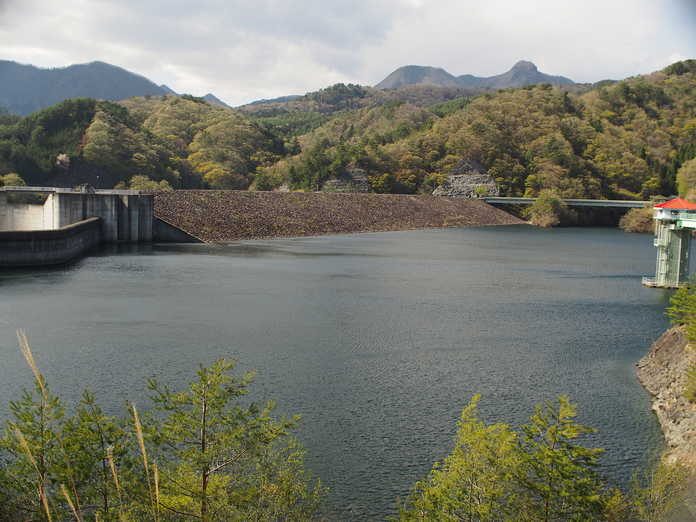 P4278282.jpg