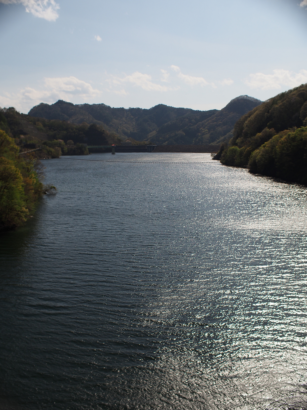 P4278284.jpg