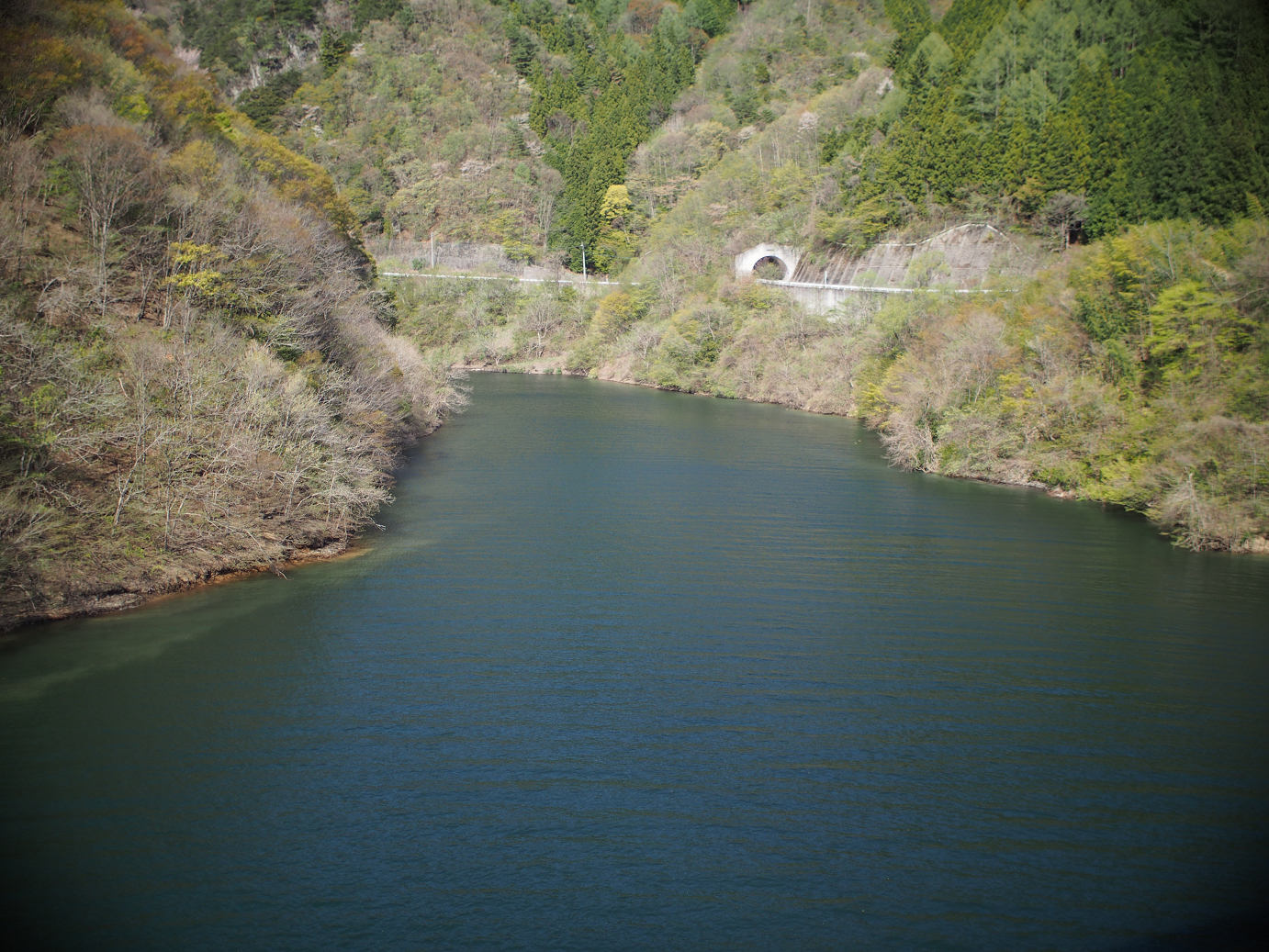 P4278285.jpg