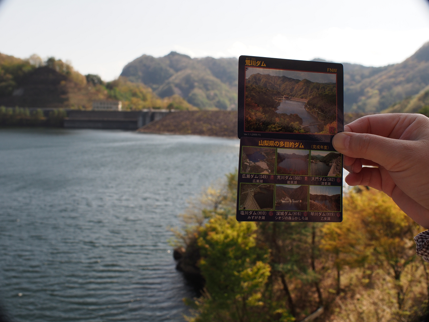 P4278288.jpg