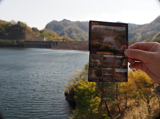 P4278288_thumb.png