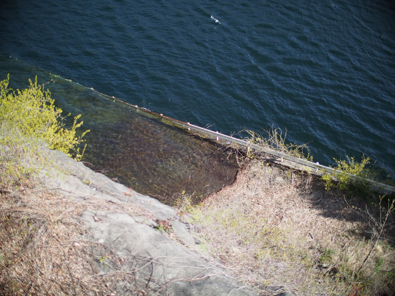 P4278289.jpg