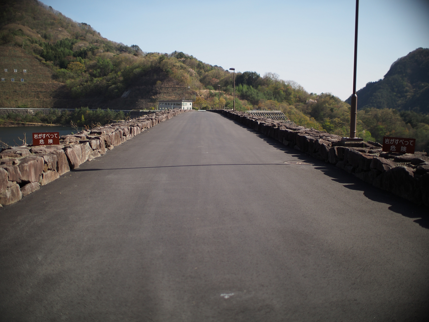 P4278293.jpg