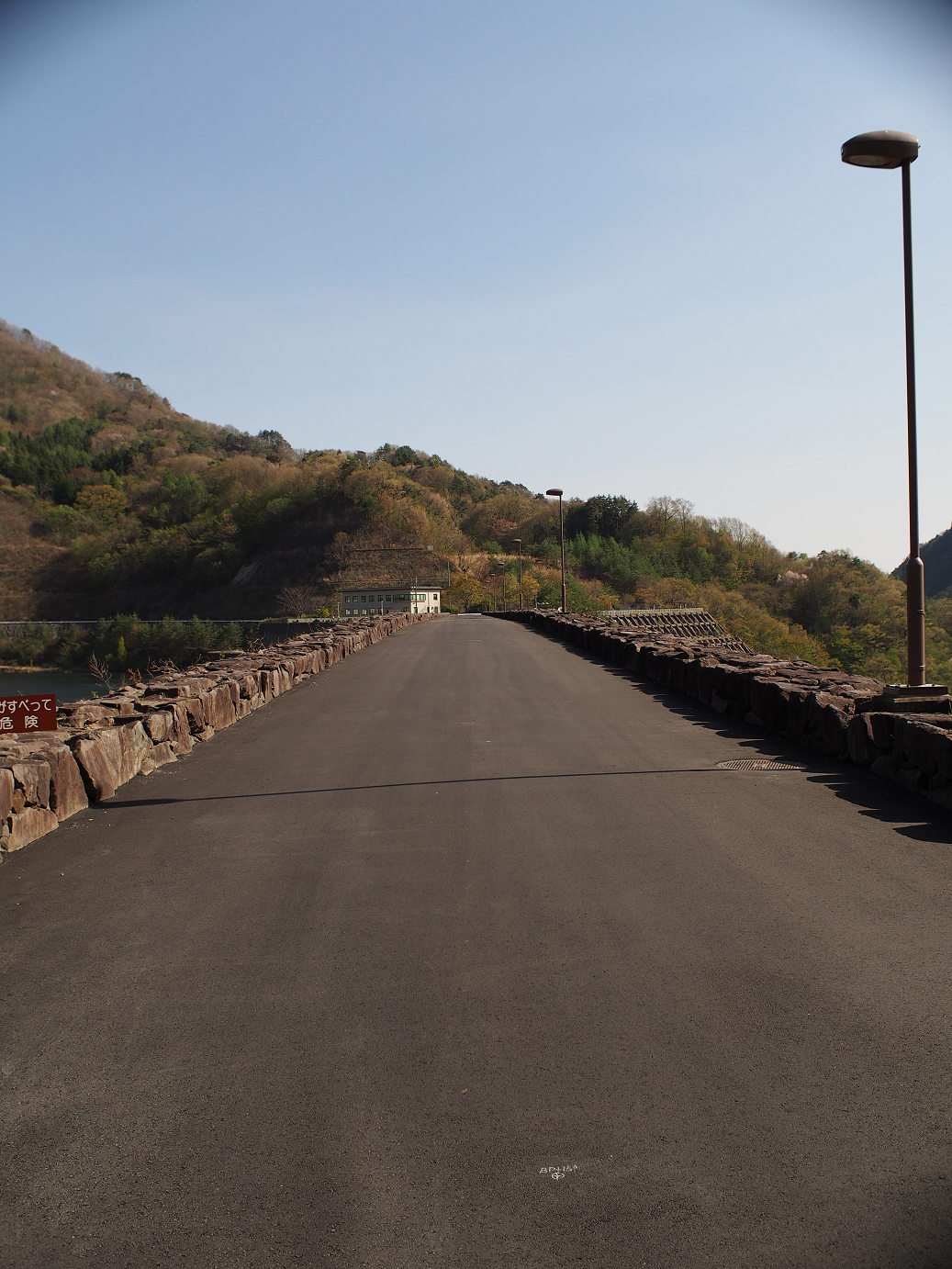 P4278294.jpg