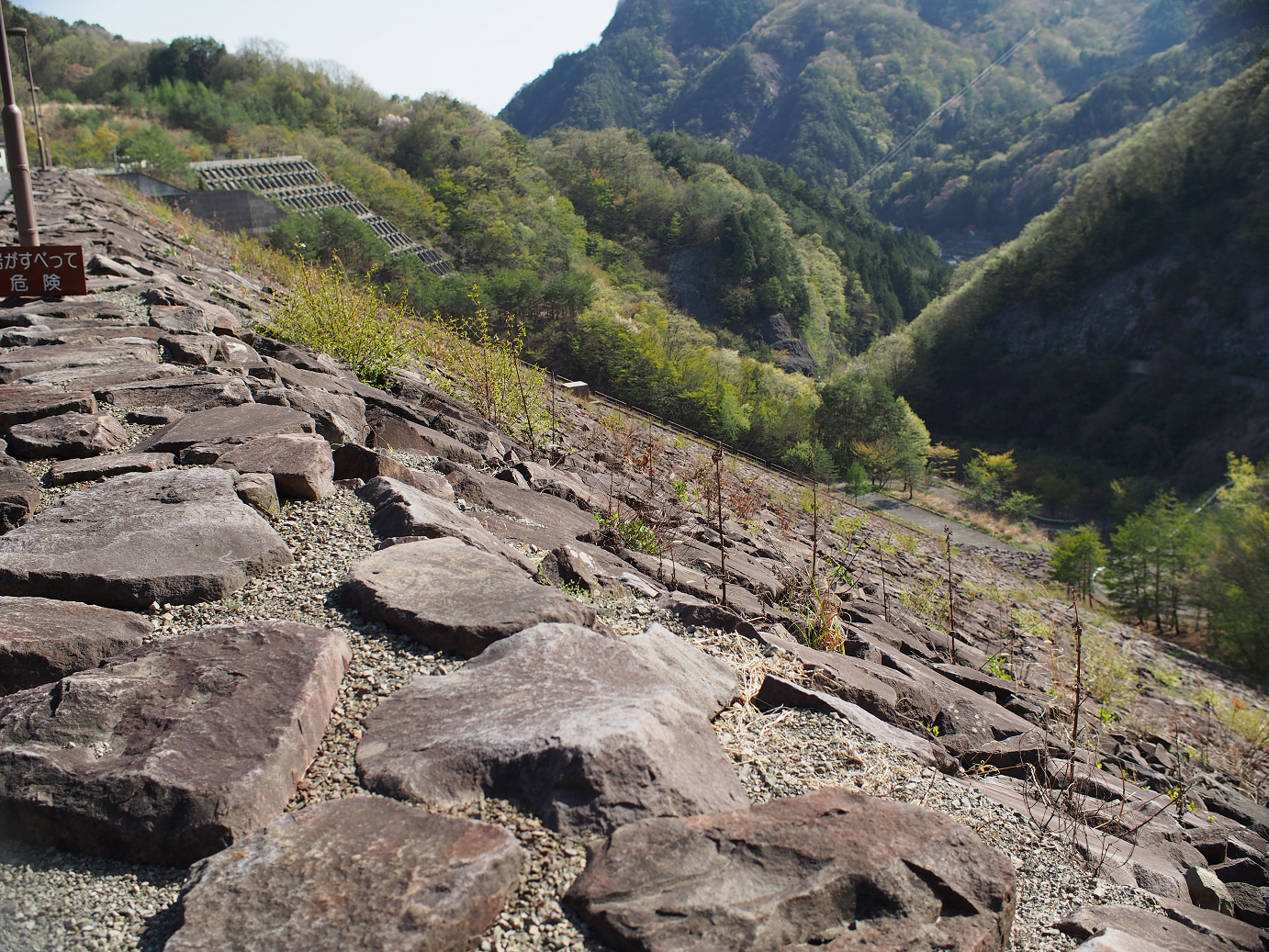 P4278295.jpg