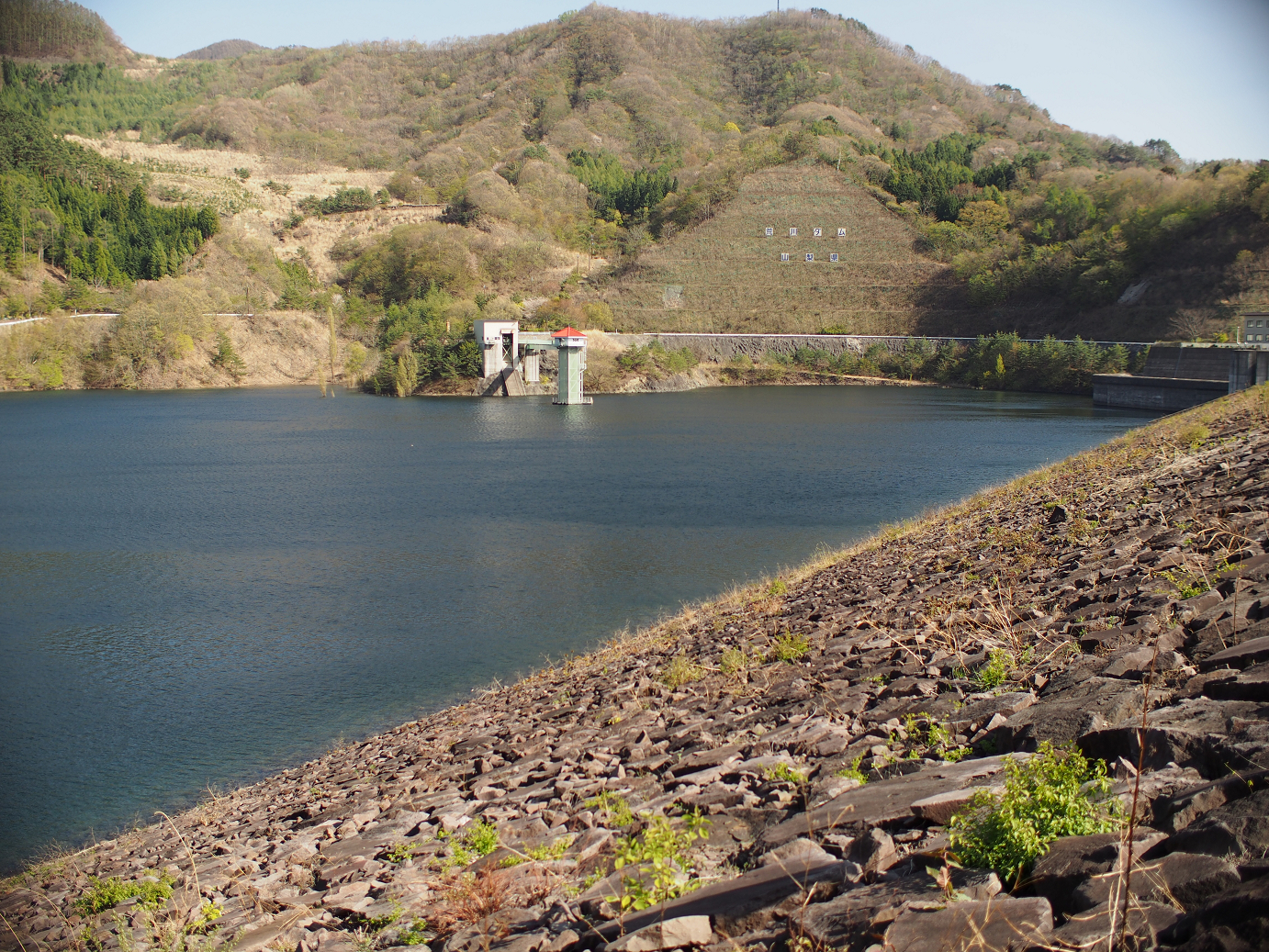 P4278296.jpg