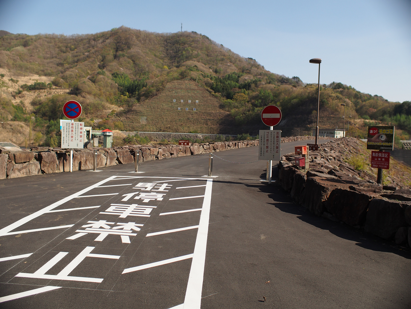 P4278299.jpg