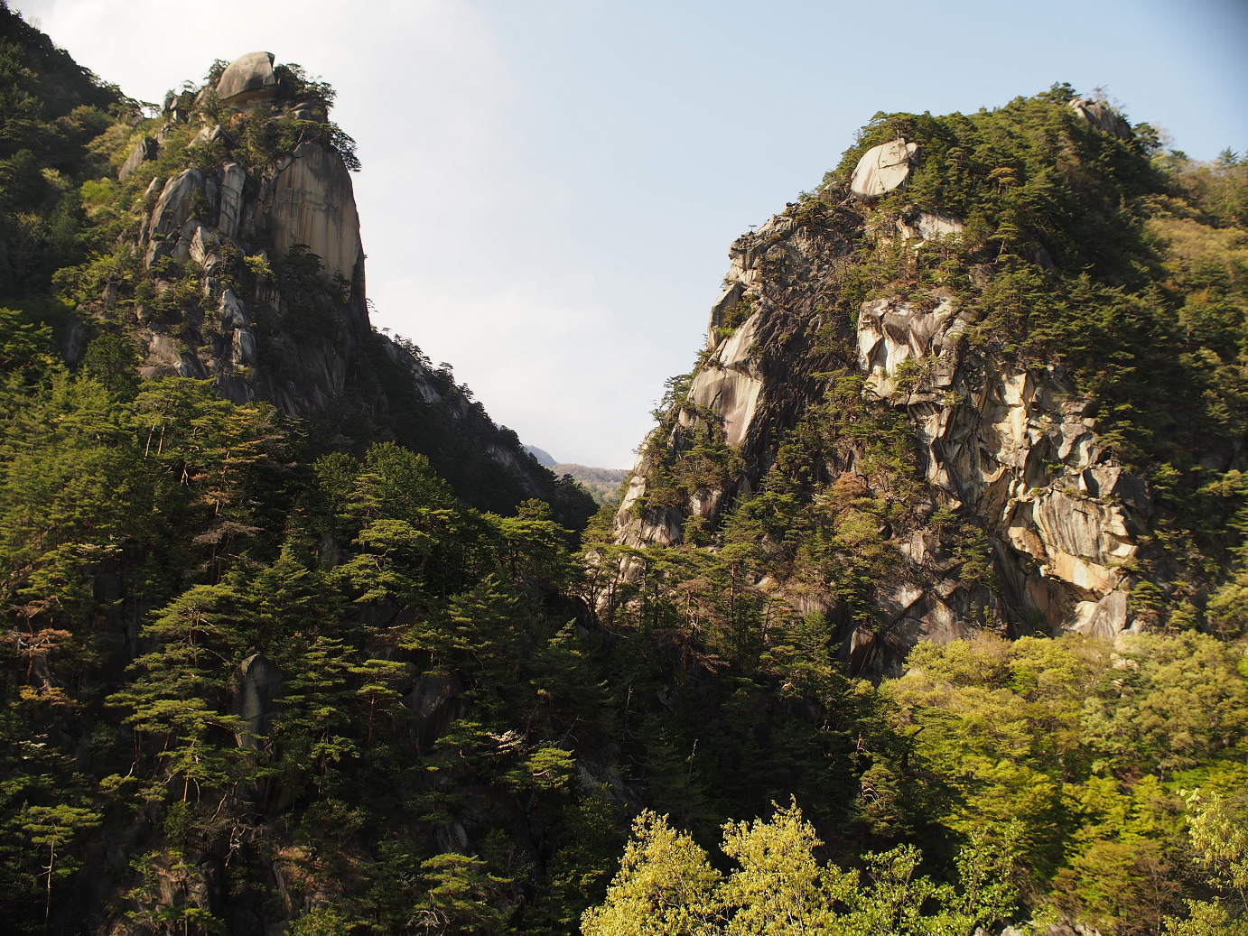 P4278301.jpg