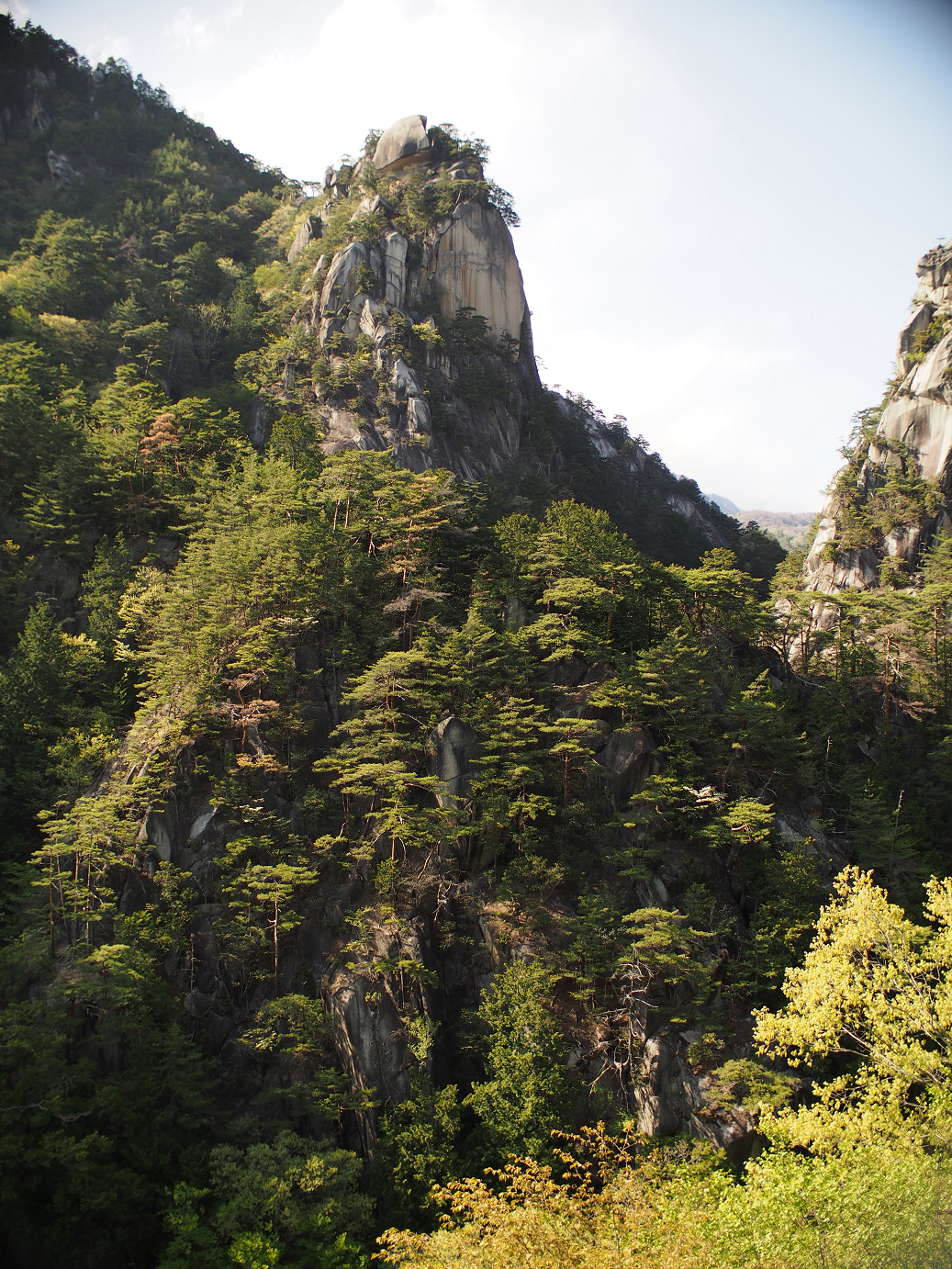 P4278302.jpg