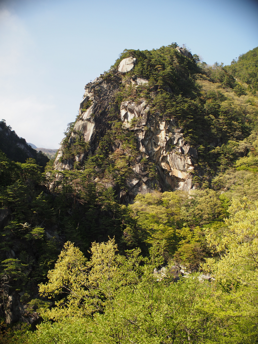 P4278303.jpg