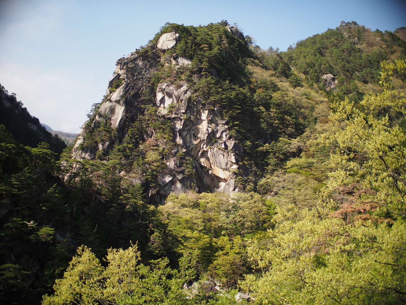 P4278305.jpg
